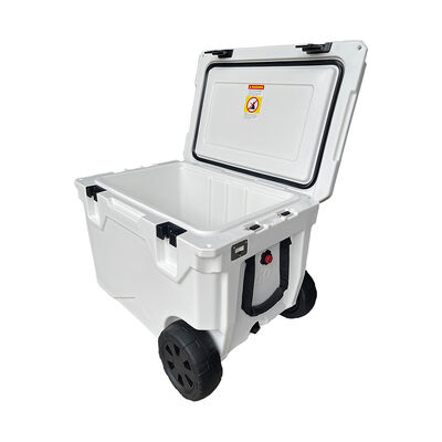 bán nóng nhựa trong cổ phiếu kích thước lớn khóa hộp lạnh băng