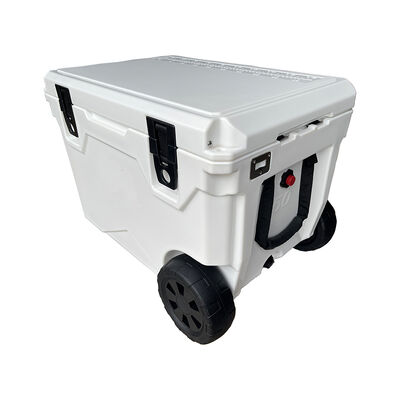 Hot Sale Plastic in Stocks Large Size Locking Ice Cooler Box
